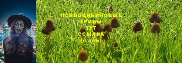 крисы Переславль-Залесский