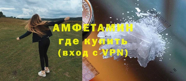 твердый Пересвет