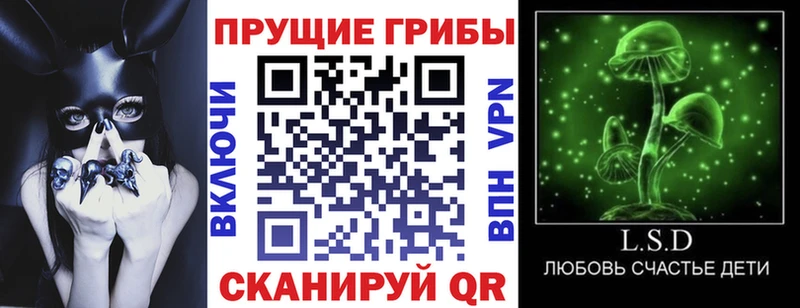 сколько стоит  Бодайбо  Галлюциногенные грибы Psilocybine cubensis 